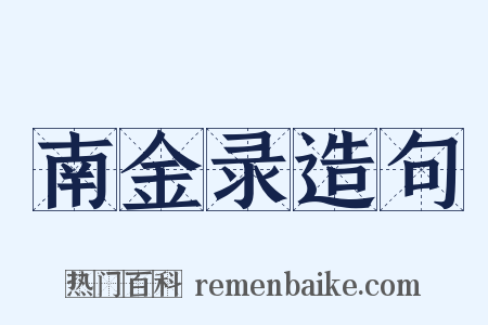 南金录造句是什么意思的图片